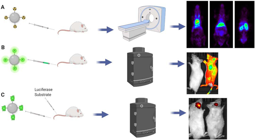 Figure 3.