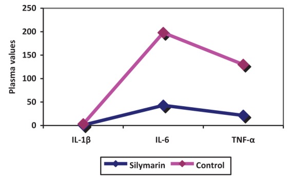 Figure 4)