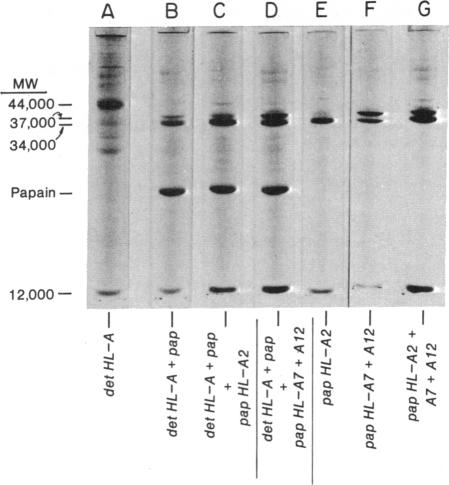 graphic file with name pnas00057-0537-a.jpg