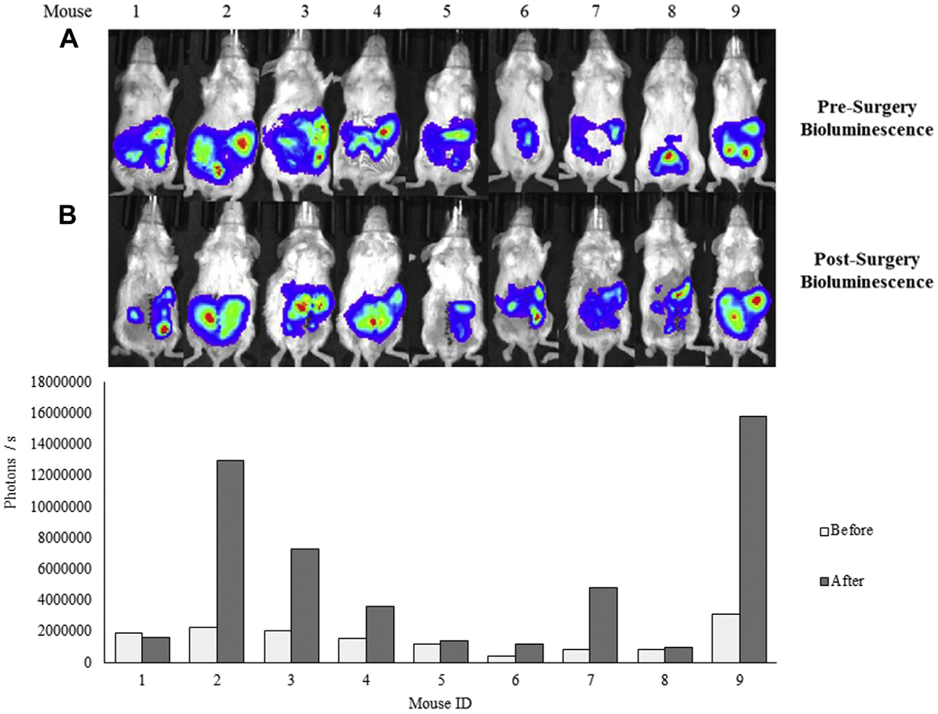 Fig. 7 –