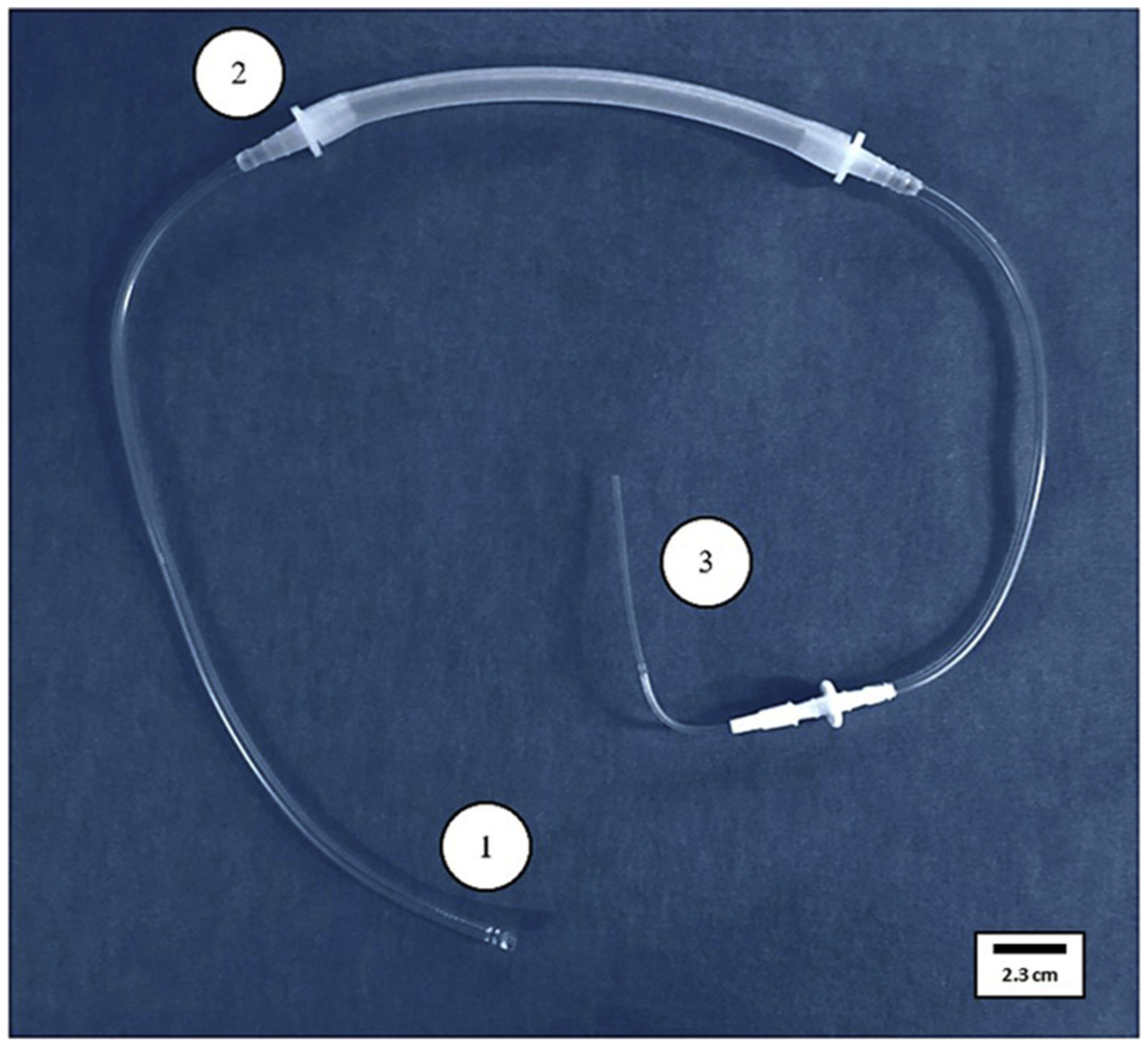 Fig. 2 –