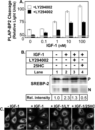 Figure 9.