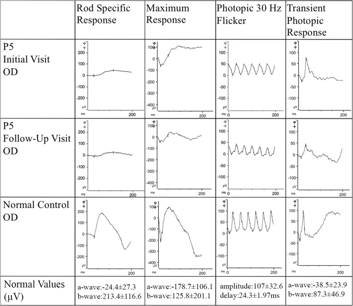 Fig. 4