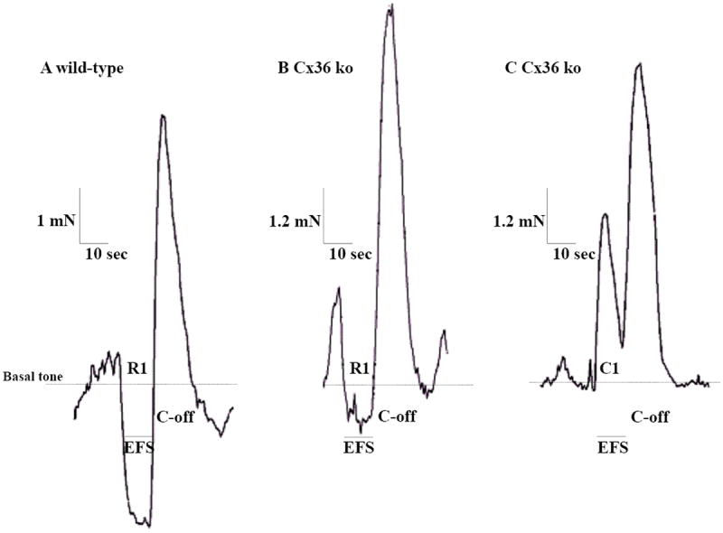 Figure 4