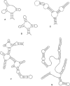 F<sc>IG</sc>. 1.—