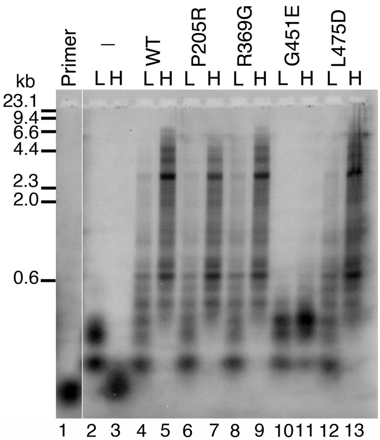 Figure 2.