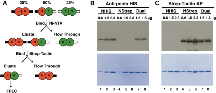 Figure 1.