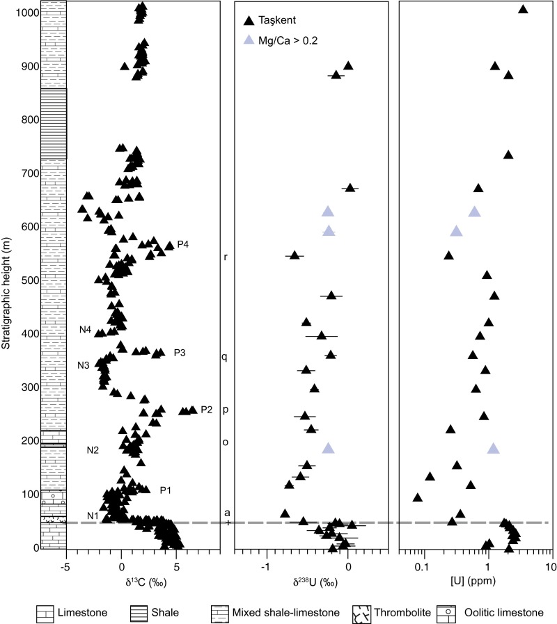 Fig. S4.