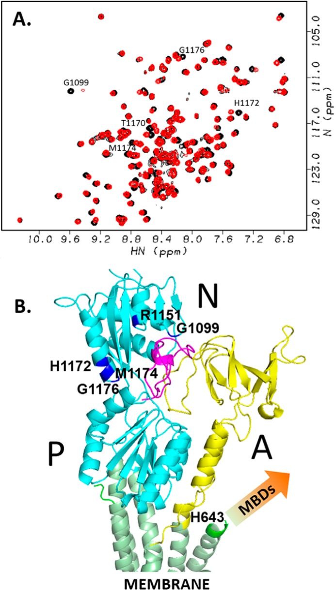 Figure 5.