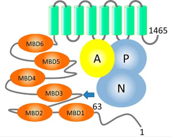 Figure 1.