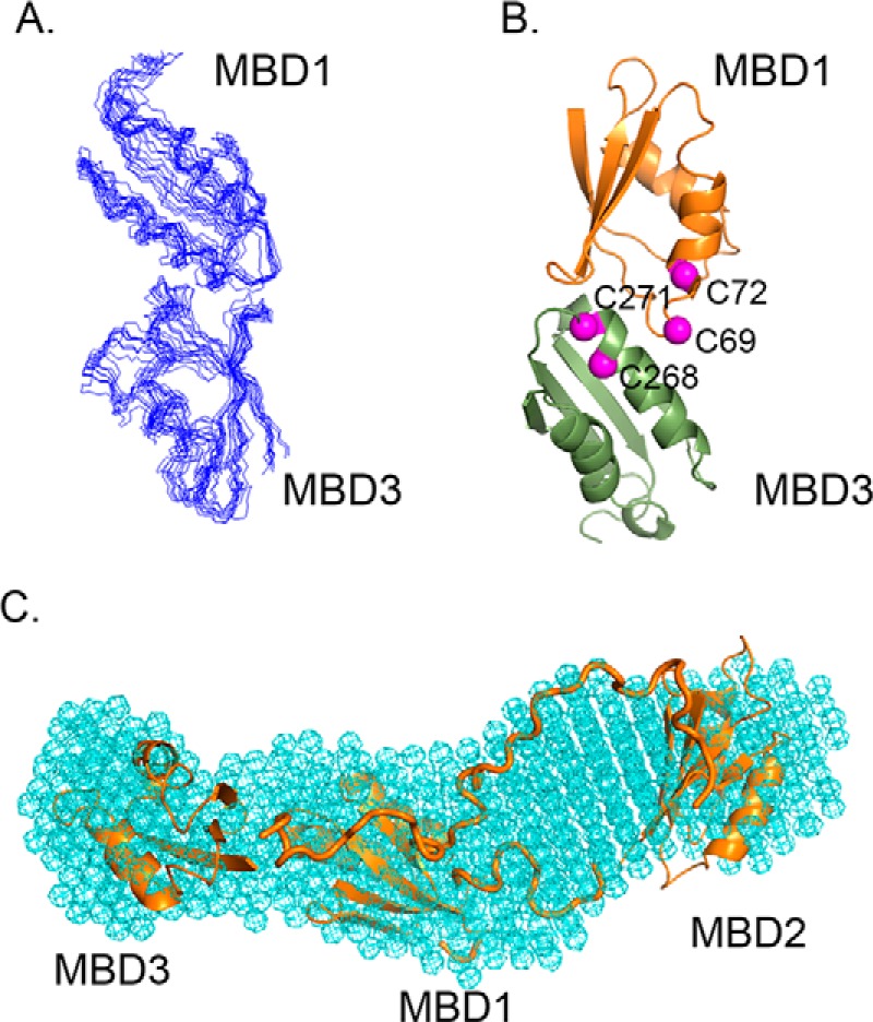 Figure 2.