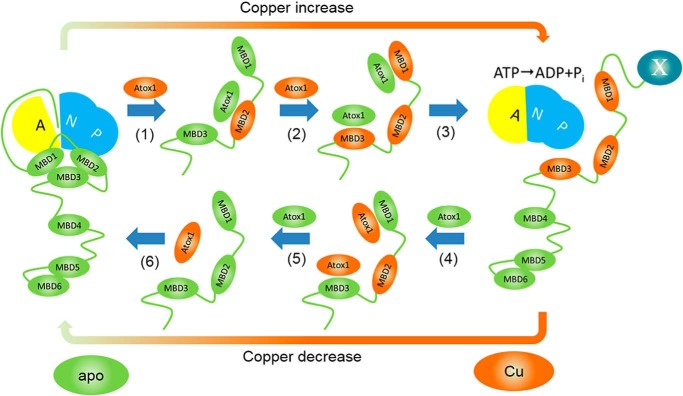 Figure 6.