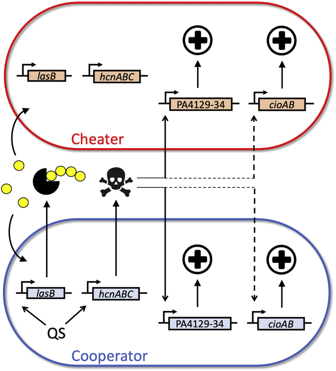 Figure 4