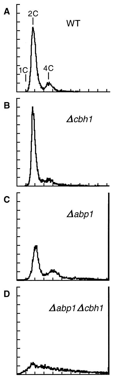 FIG. 6