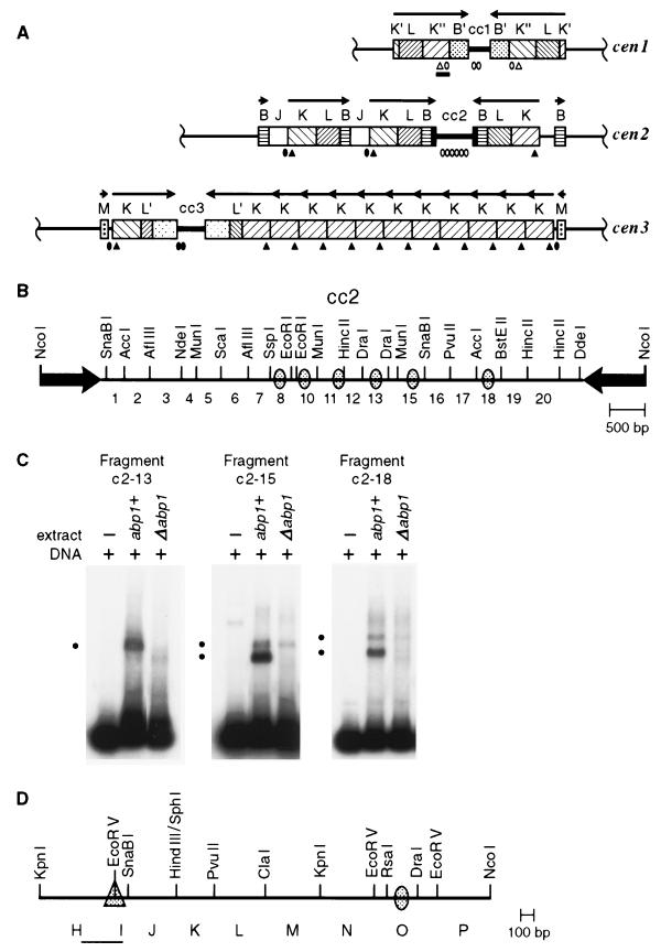 FIG. 1