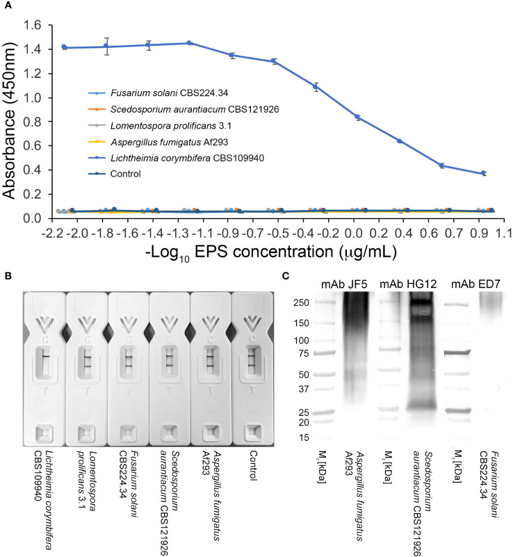 Figure 4