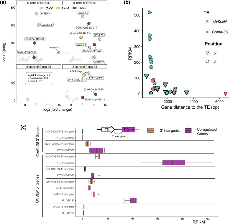 Fig. 4.