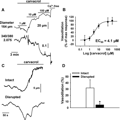 Fig. 4.