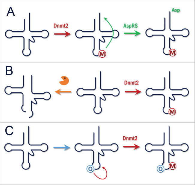 Figure 5.