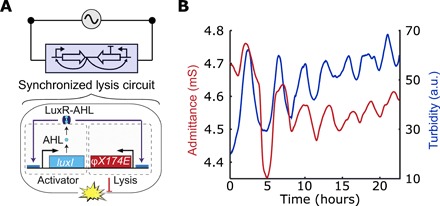 Fig. 3