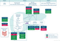 graphic file with name EDM2-3-e00105-g003.jpg