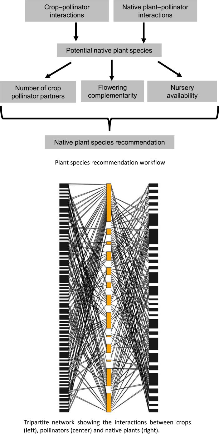 Figure 5