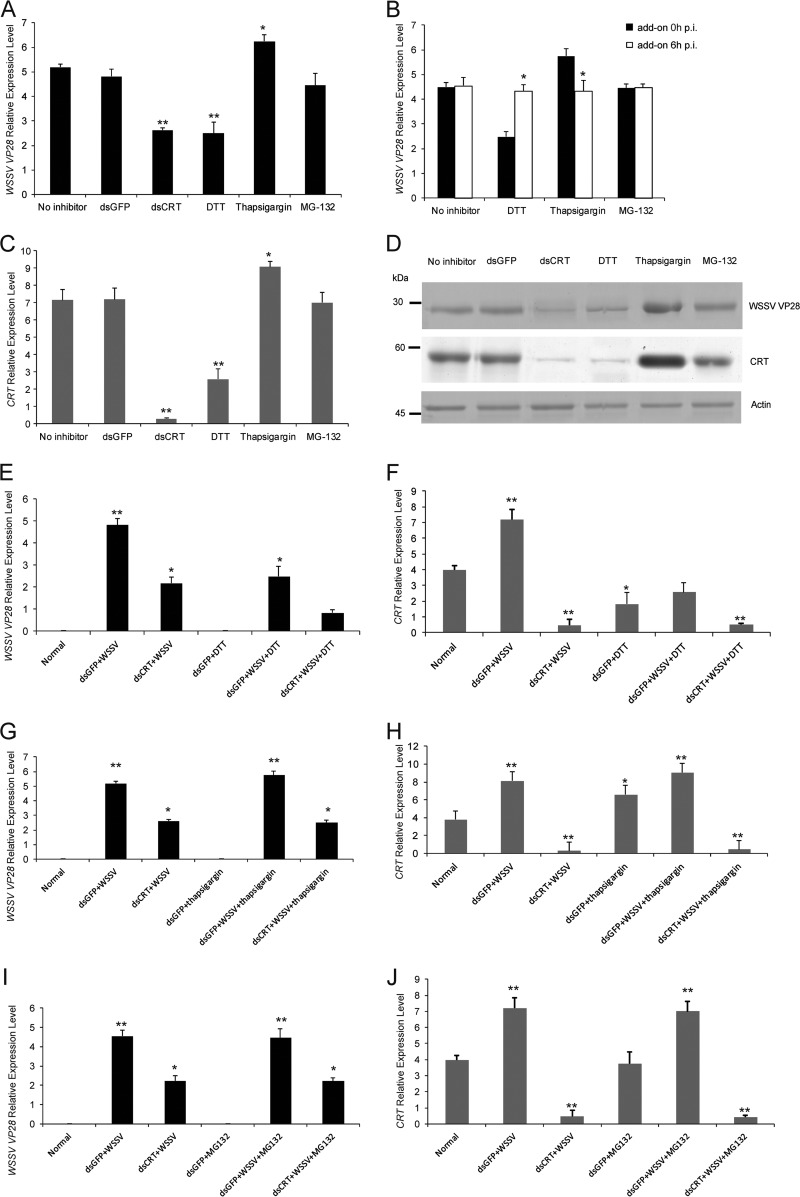 FIG 1