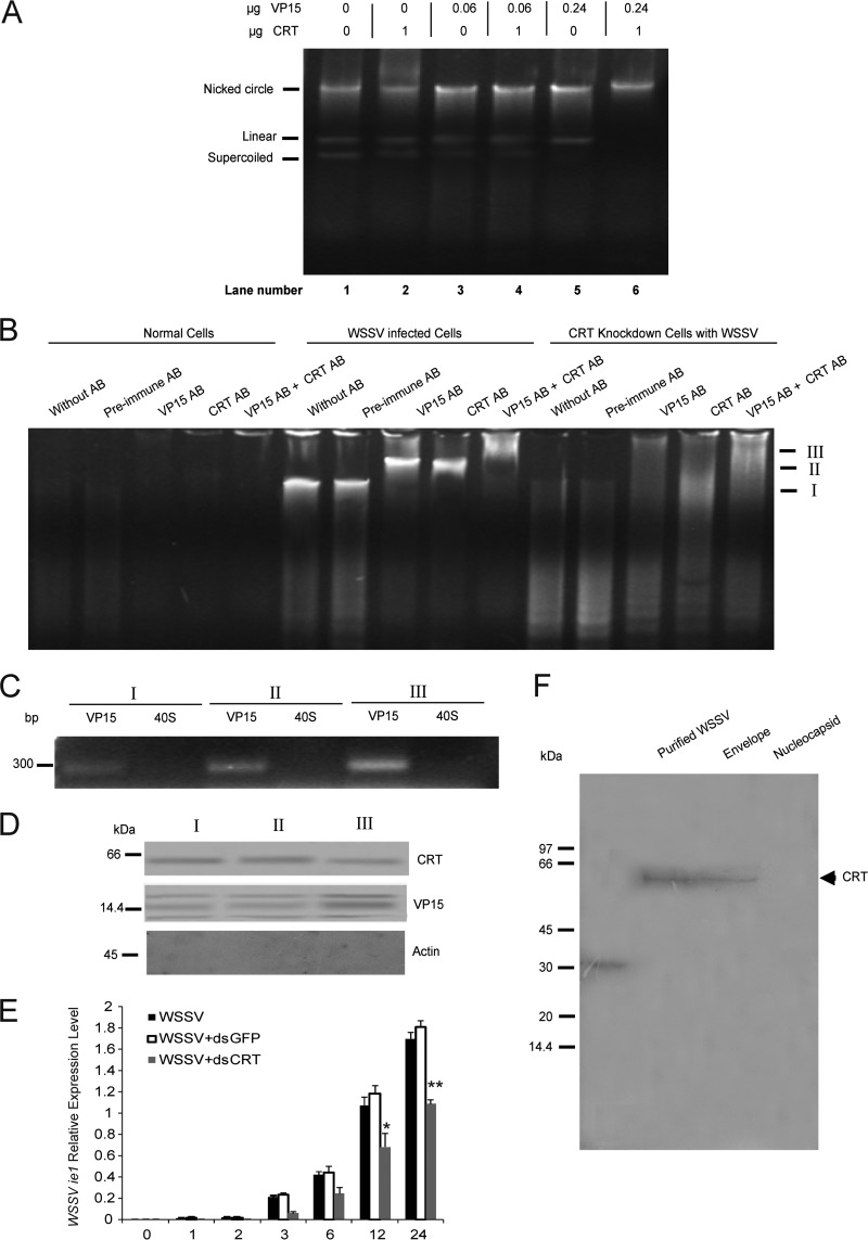 FIG 4