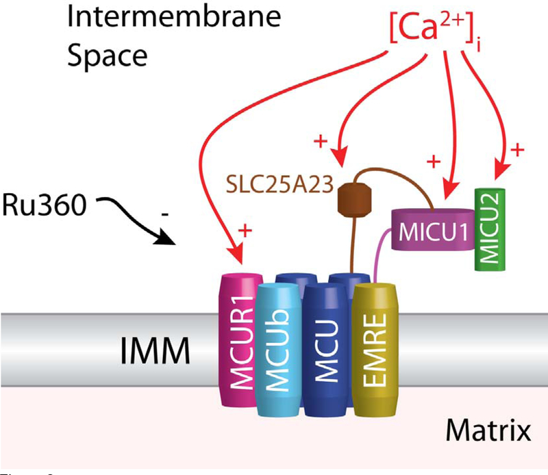 Figure 2.