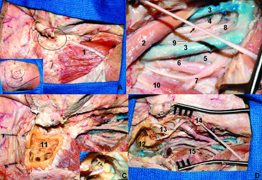 Figure 10