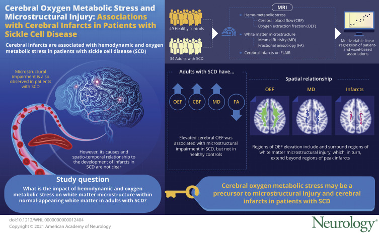 graphic file with name NEUROLOGY2021170604FU1.jpg