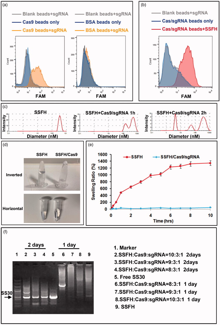 Figure 2.