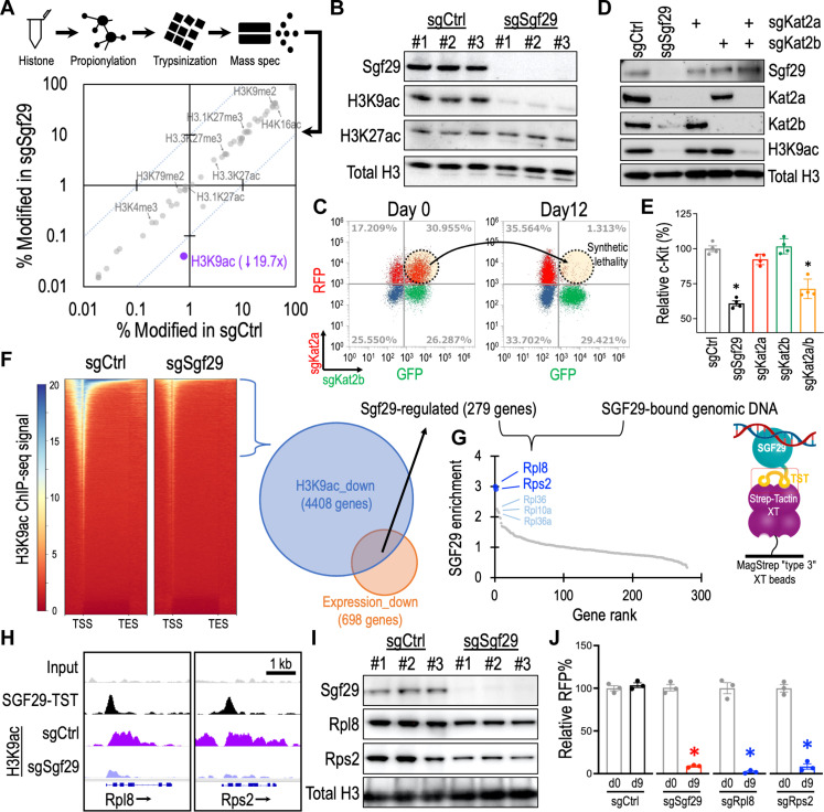 Therapeutic targeting Tudor domains in leukemia via CRISPR-Scan ...