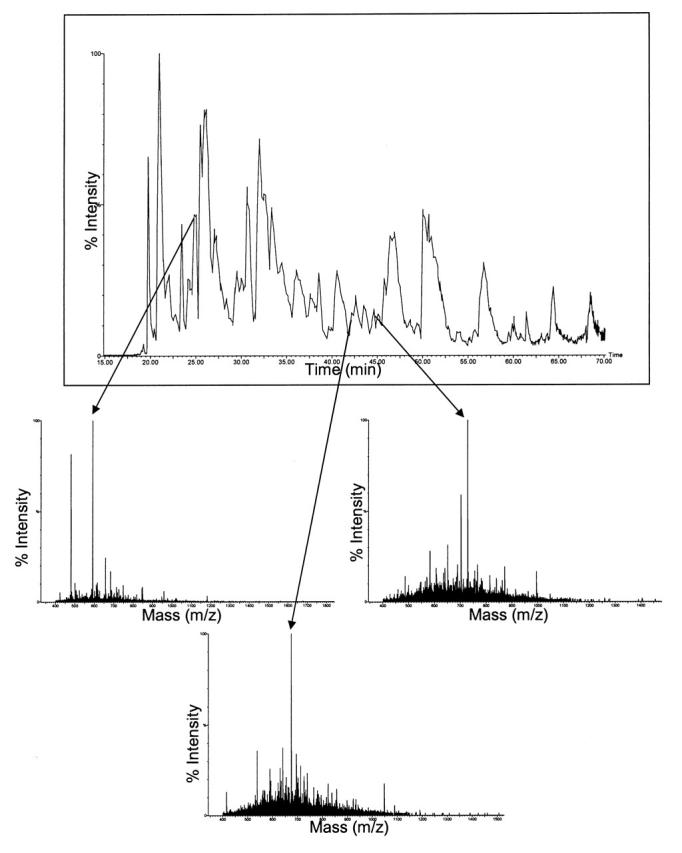 FIGURE 2B