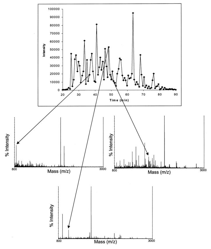 FIGURE 2A