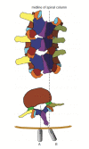 Fig. 5.