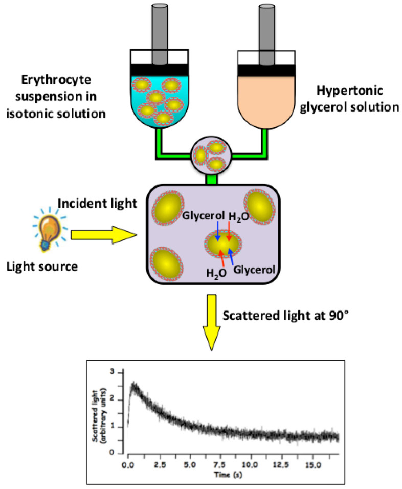 Figure 3.