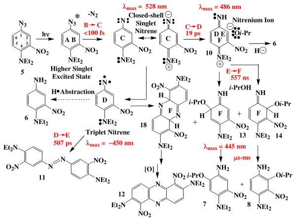 Scheme 4