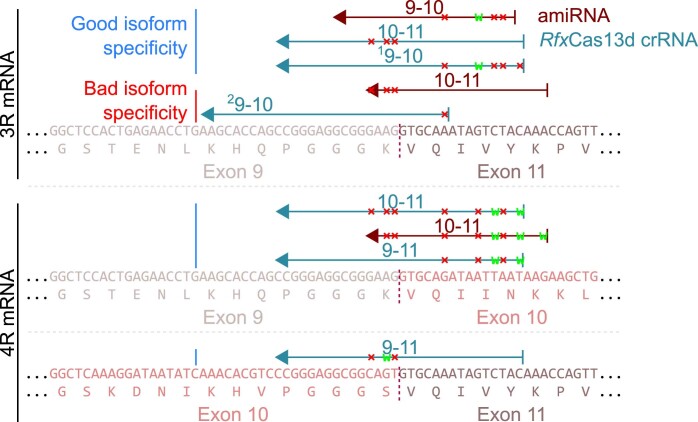 Extended Data Fig. 7