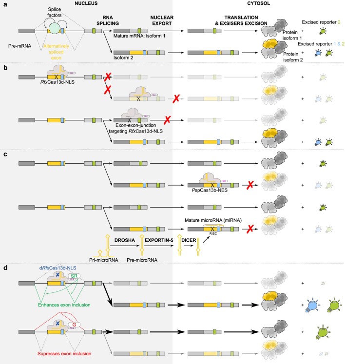 Extended Data Fig. 5