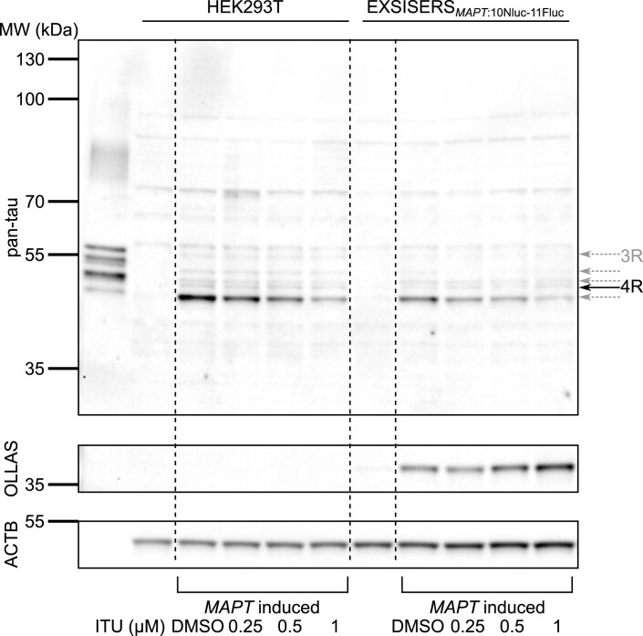 Extended Data Fig. 4