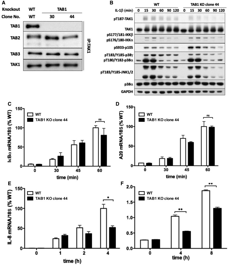 Figure 5.