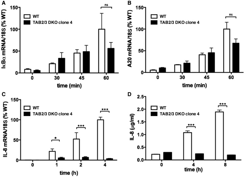 Figure 2.