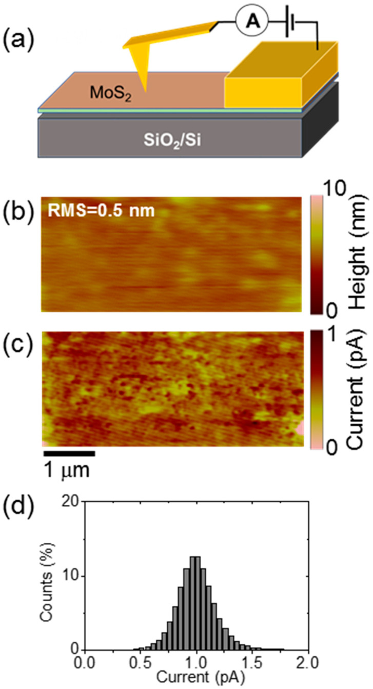 Figure 7