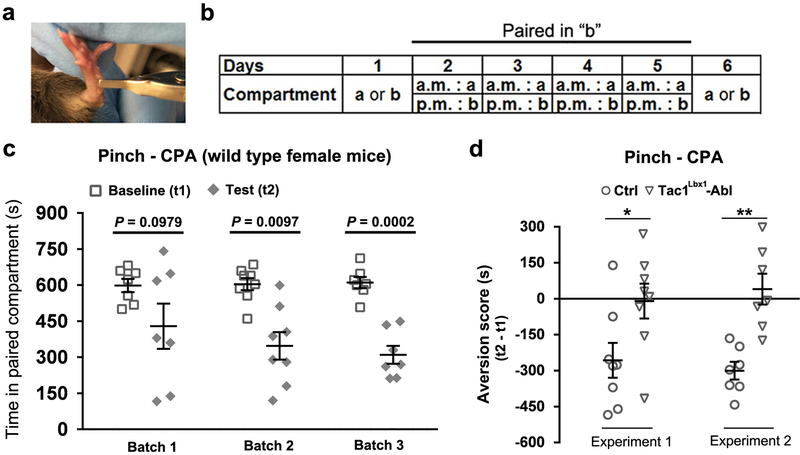 Extended Data Fig. 8