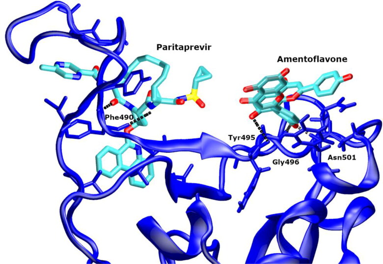 Figure 6.