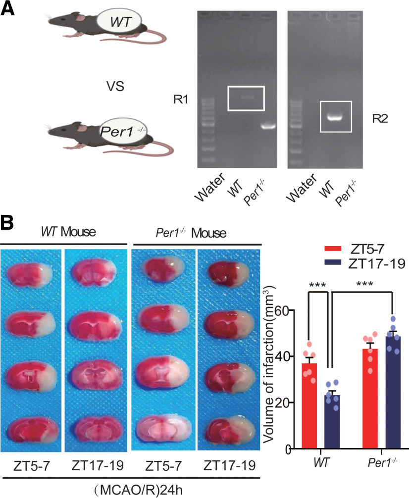 Figure 10.