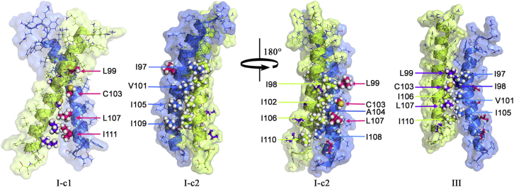 Figure 11