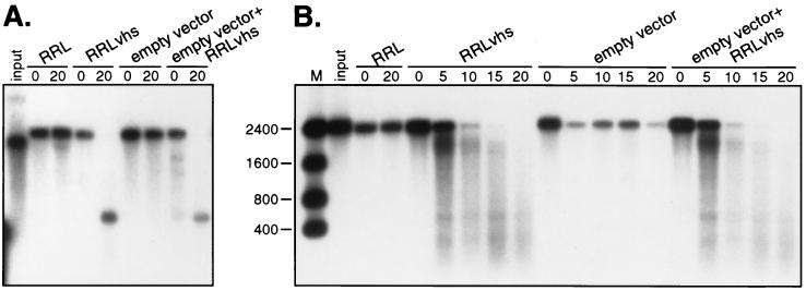 FIG. 10