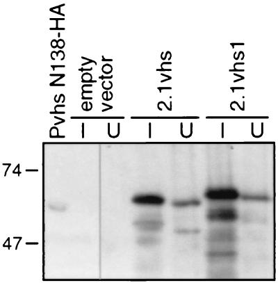 FIG. 6